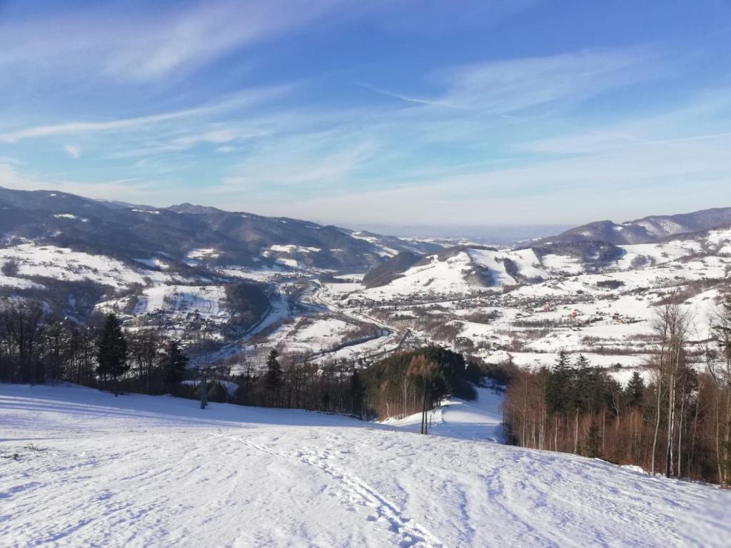 Apartament u Joli v zime