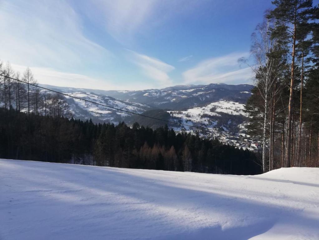 Príroda v okolí apartmánu