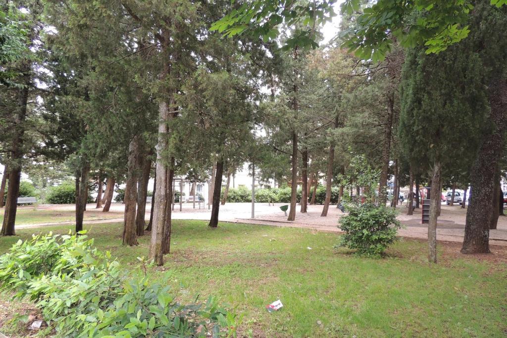 Vonkajšia záhrada v ubytovaní Lorena Apartment Dubrovnik