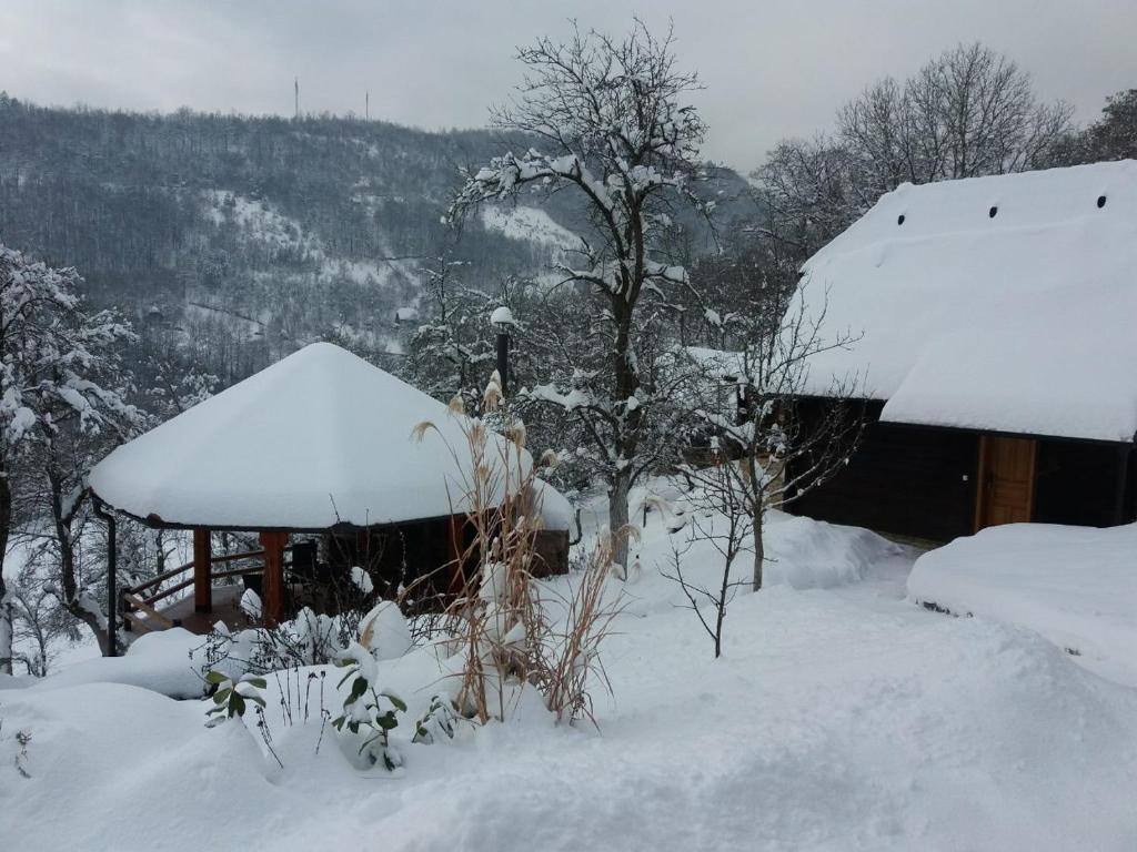Vacation Home Nana talvel