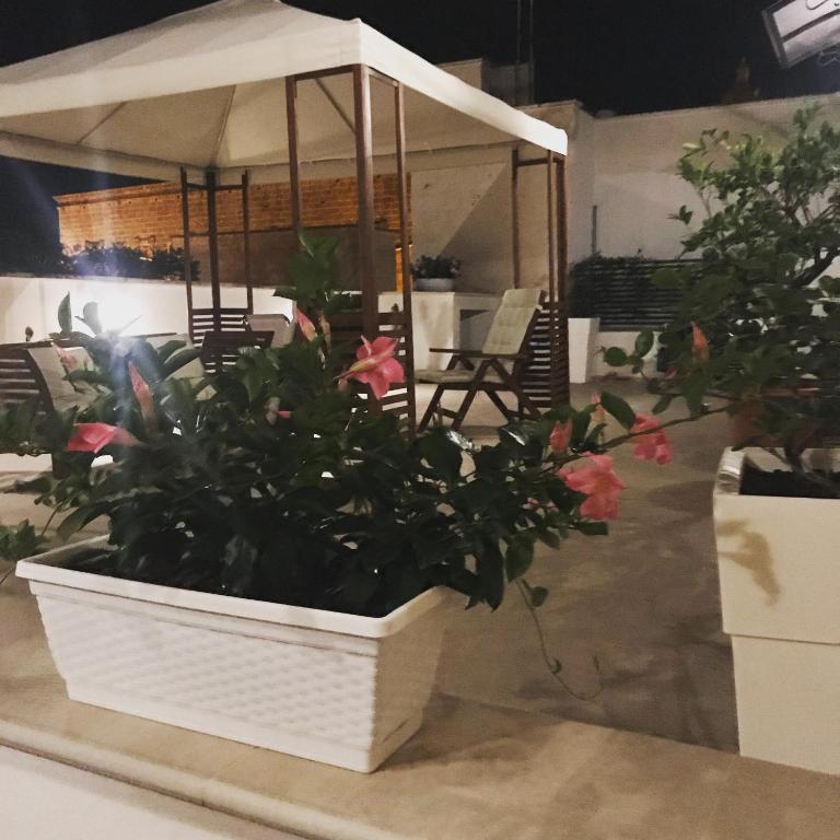 Zahrada ubytování Sine Tempore B&B