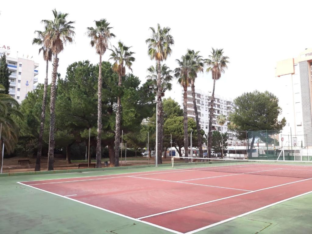 Tenis alebo squash v ubytovaní Valldigna 7 Playa de Gandia SOLO FAMILIAS alebo jeho okolí