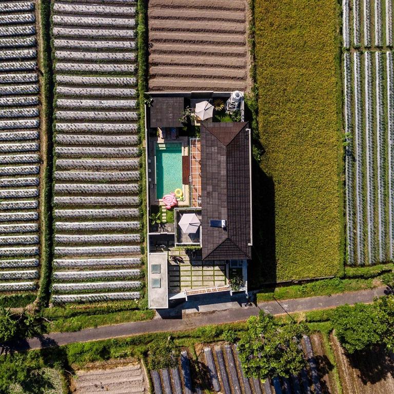 Villa Arusha Jogja