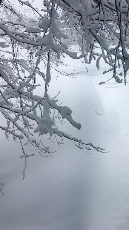 First Tracks At Cortina / Norikura v zimě