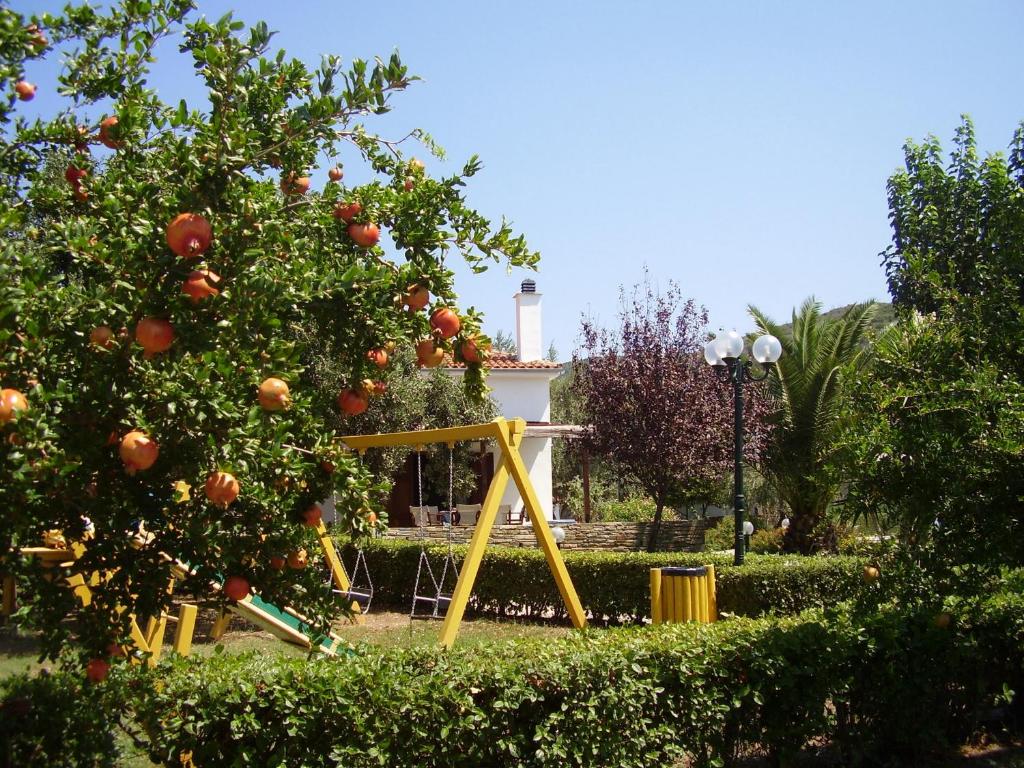 Zahrada ubytování Razi Beach