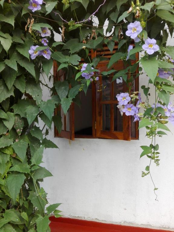 Zahrada ubytování Ananda Home Stay and Restaurant