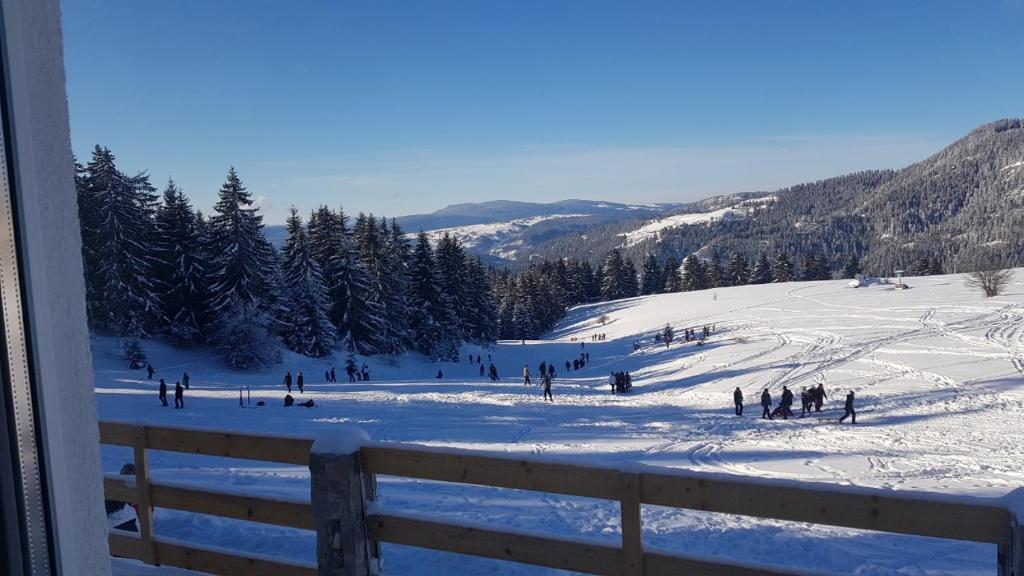 un grupo de personas esquiando por una pista cubierta de nieve en Morehead Guesthouse Vlasic, en Vlašić