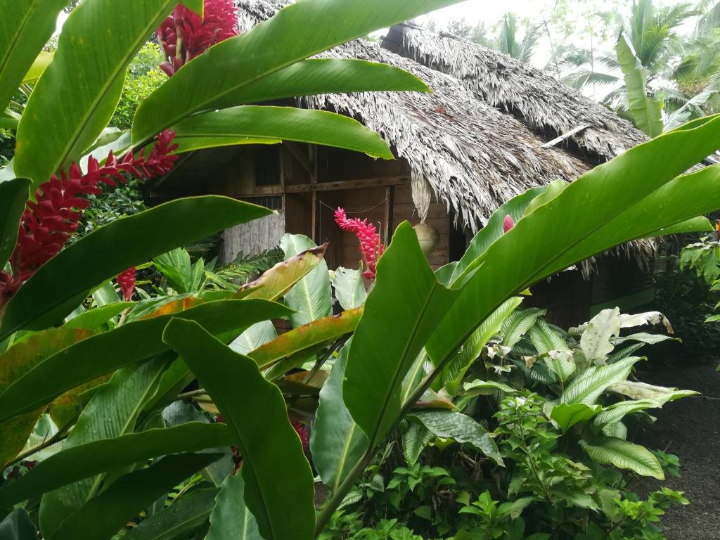 Un jardín fuera de Posada Villamaga