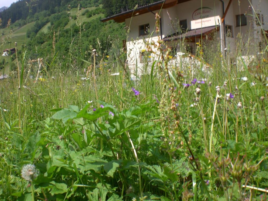 Fotografia z galérie ubytovania Landhaus Auen v Neustift im Stubaital