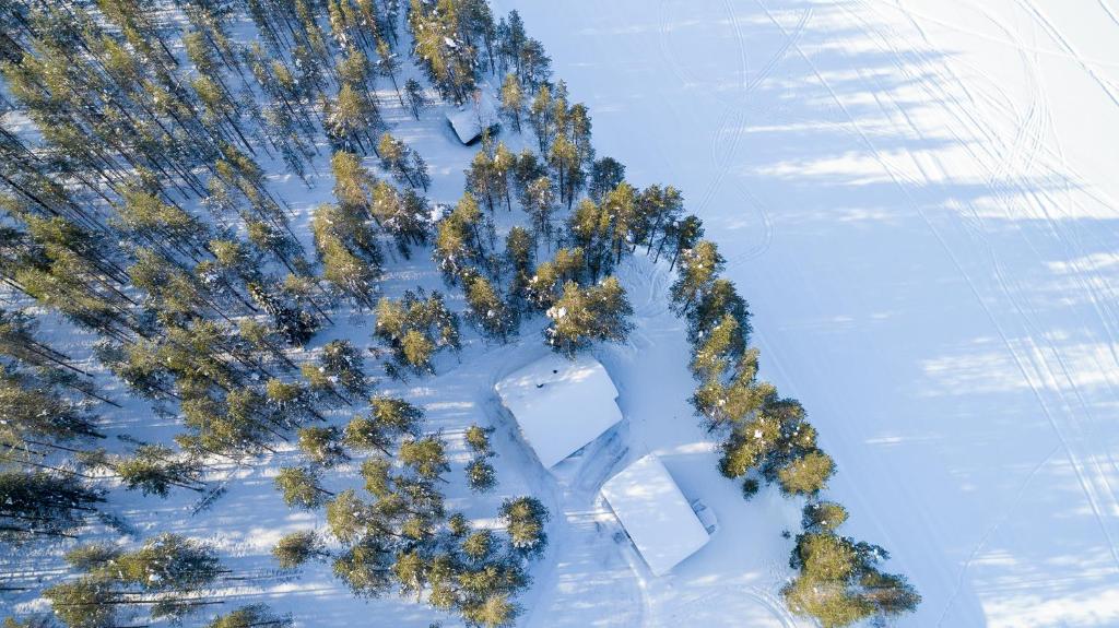 an aerial view of trees in the snow at Camping Hossan Lumo in Hossa