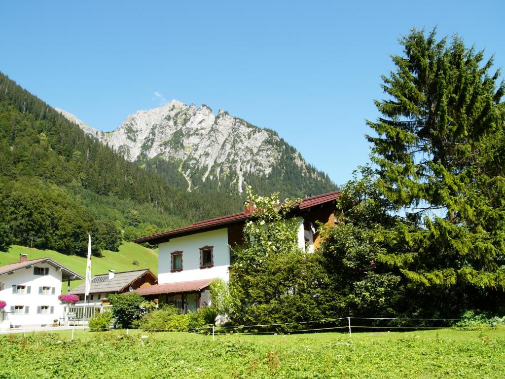 a house and a tree in front of a mountain at Appartements Burtscher in Klösterle