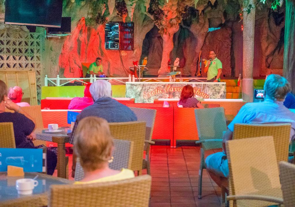 Hosté ubytování Checkin Bungalows Atlántida