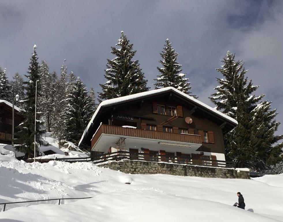 Chalet Ariane v zimě