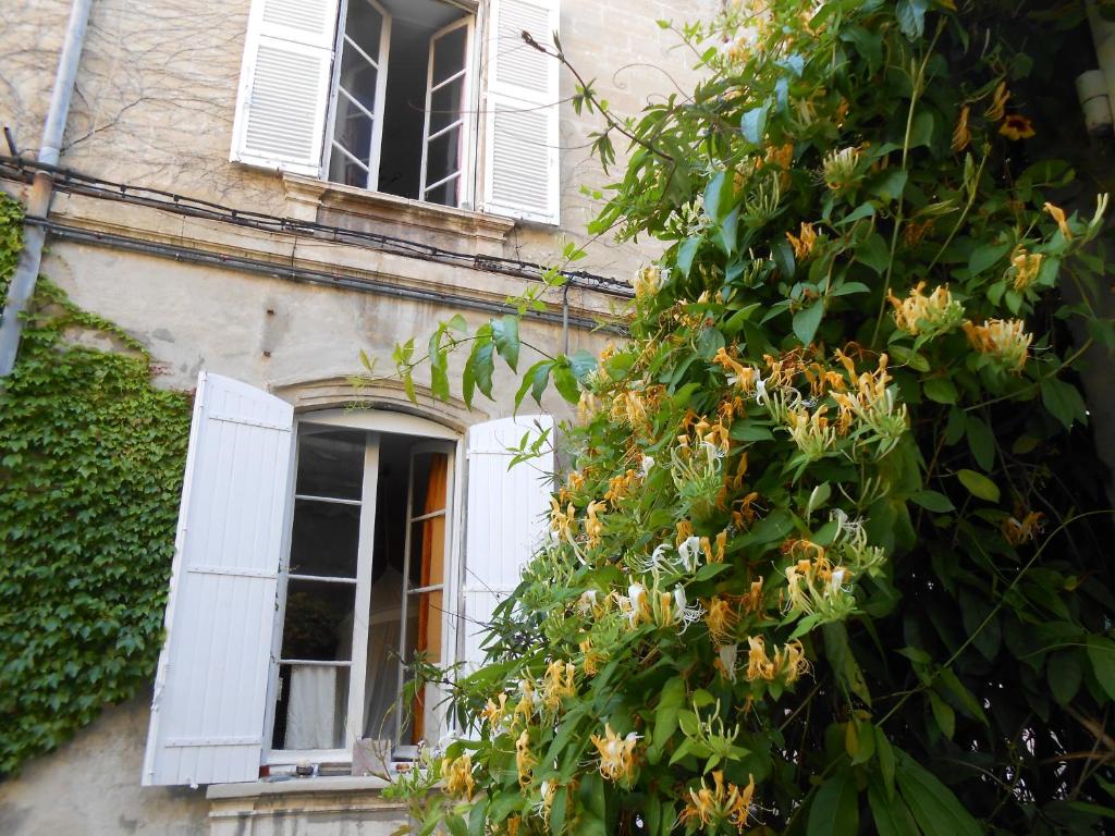 Zahrada ubytování Cocooning Avignon