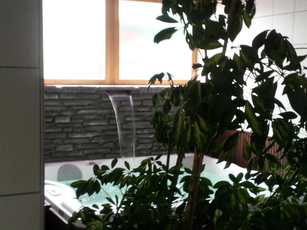 Zahrada ubytování Hotel Clari