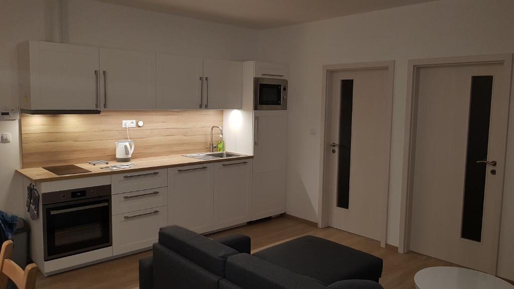 Kuchyň nebo kuchyňský kout v ubytování Apartmán Alfa 11