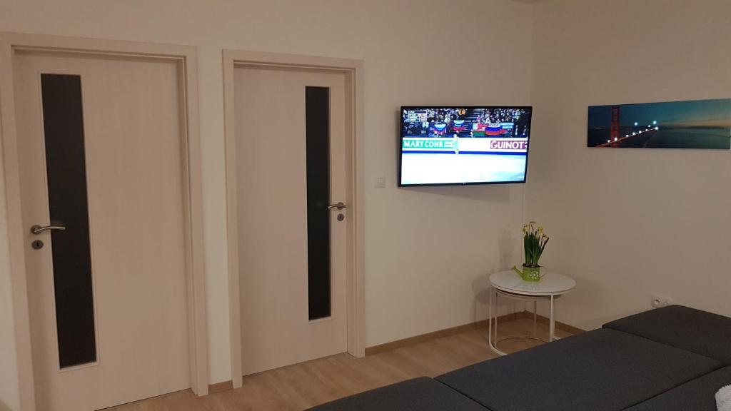 TV a/nebo společenská místnost v ubytování Apartmán Alfa 11