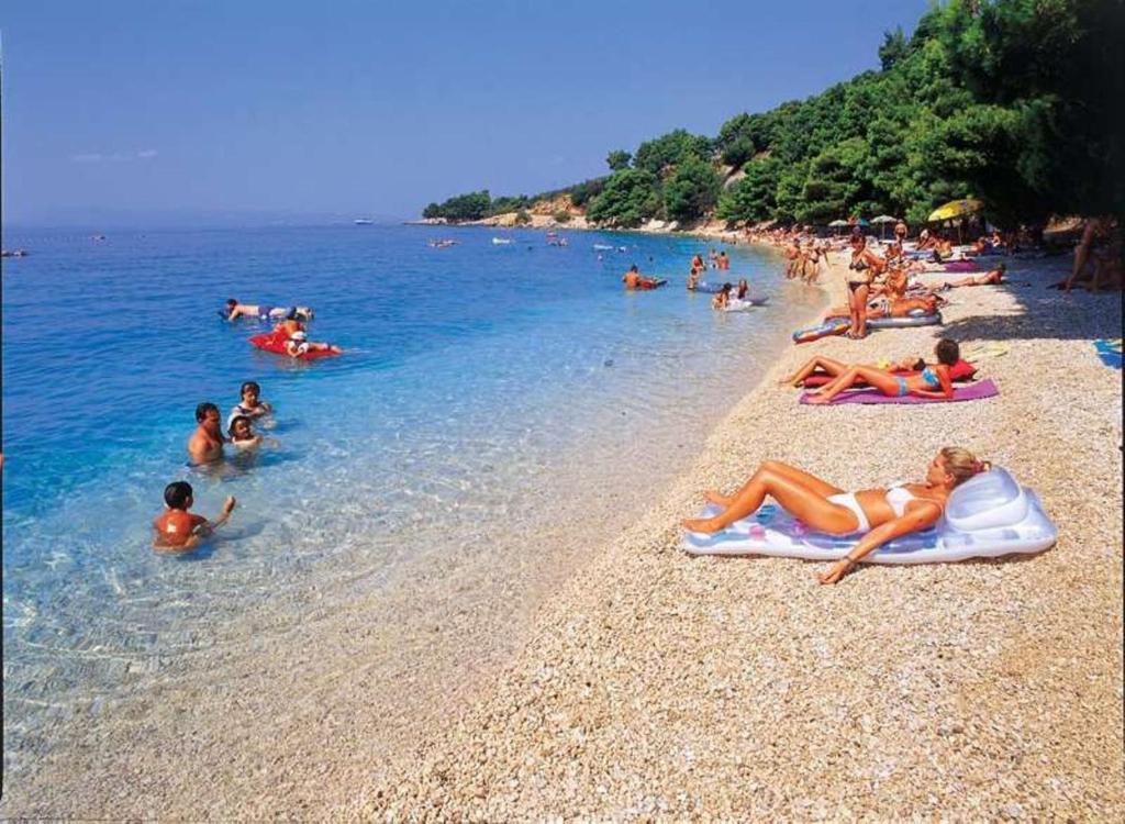 Príroda v okolí apartmánu
