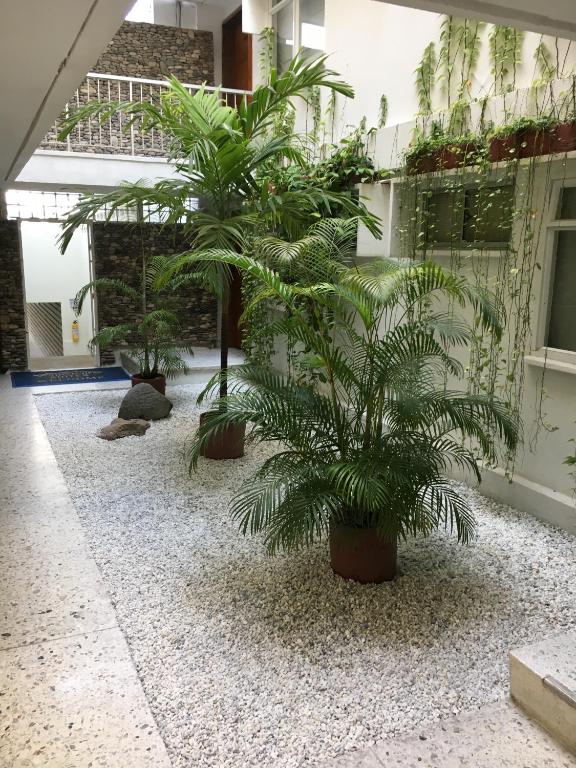 Um jardim no exterior de Vallclaire Suites