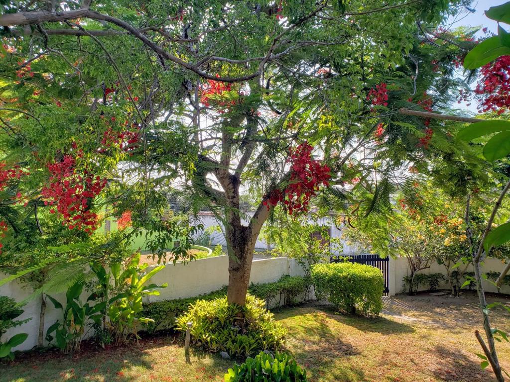  Casa Região dos Lagos - São Pedro Da Aldeia