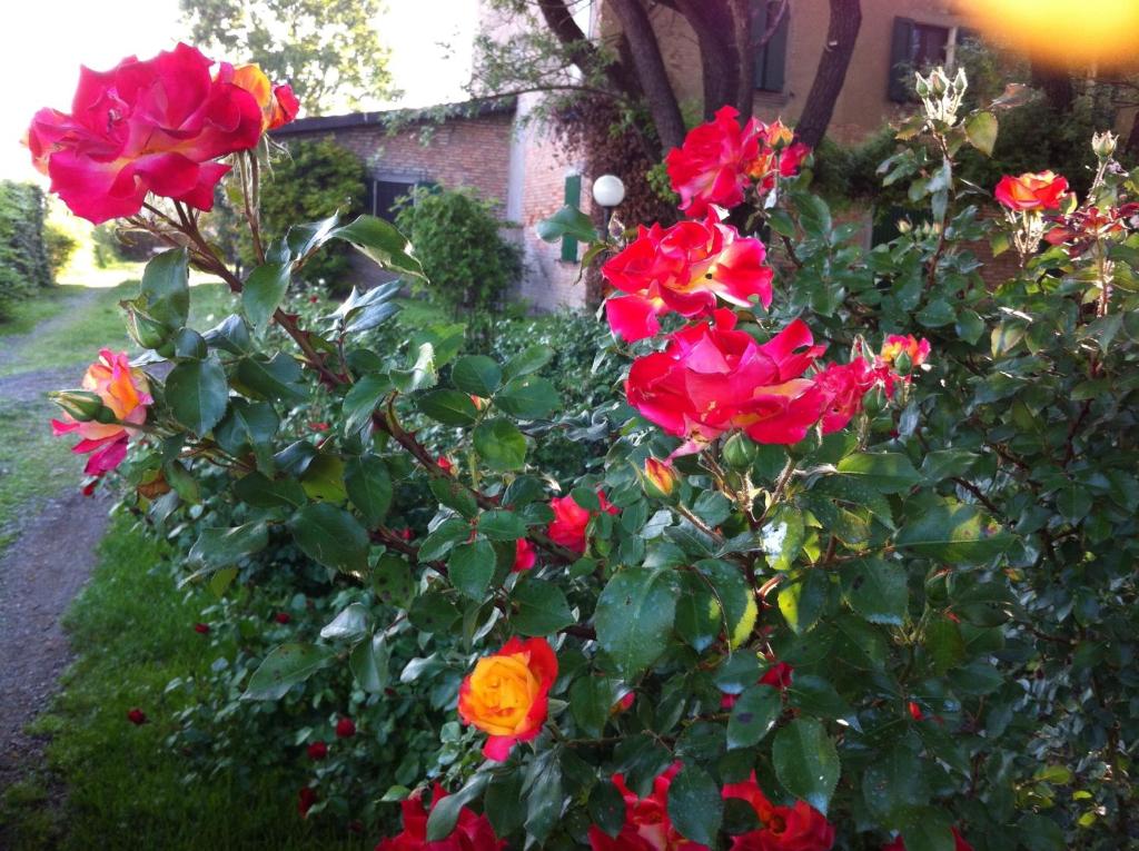A garden outside Casa a Soliera