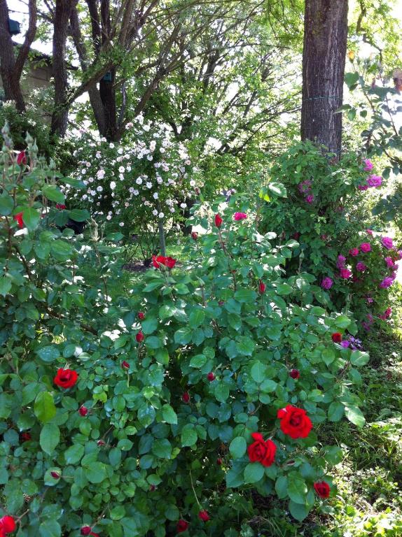 A garden outside Casa a Soliera