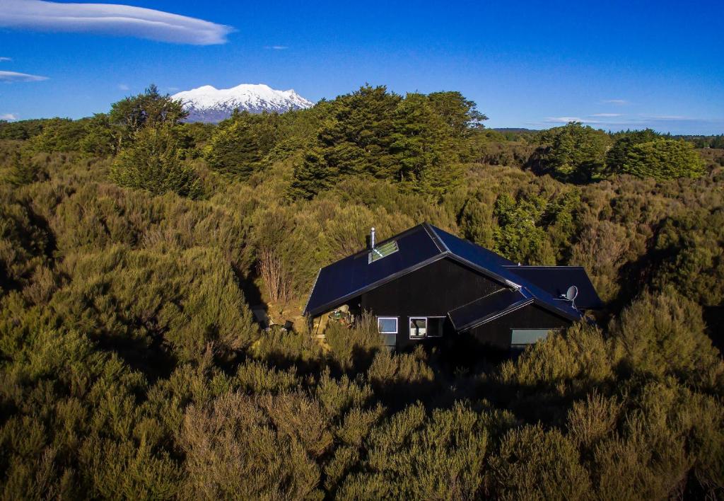 a house in a forest with a mountain in the background at Night Sky Cottage in Ohakune