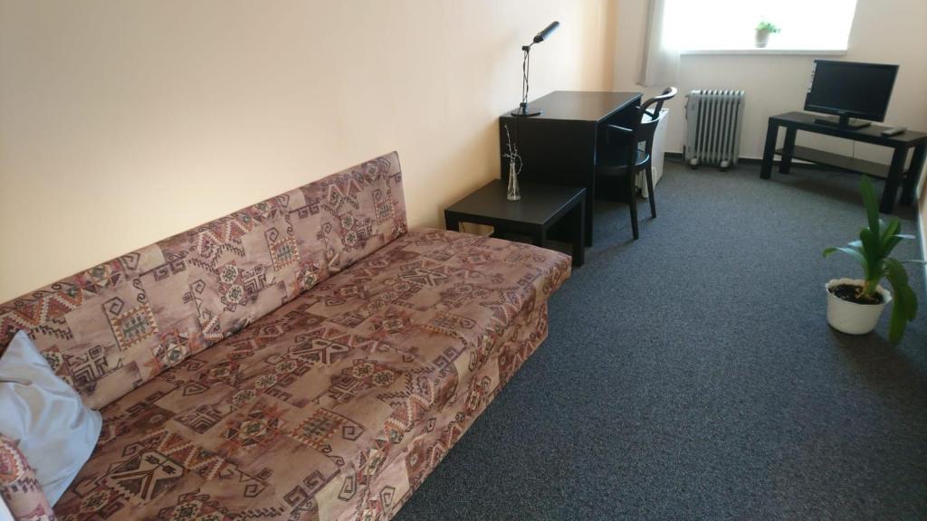 TV a/nebo společenská místnost v ubytování Hotel Šrejber