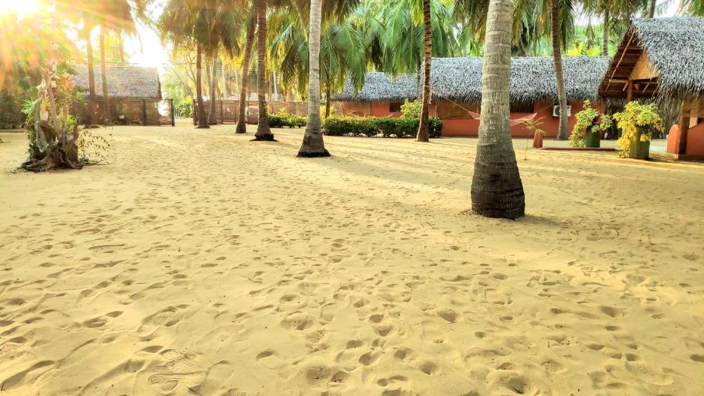 Fotografie z fotogalerie ubytování Roshanne Beach Resort v destinaci Kalpitiya