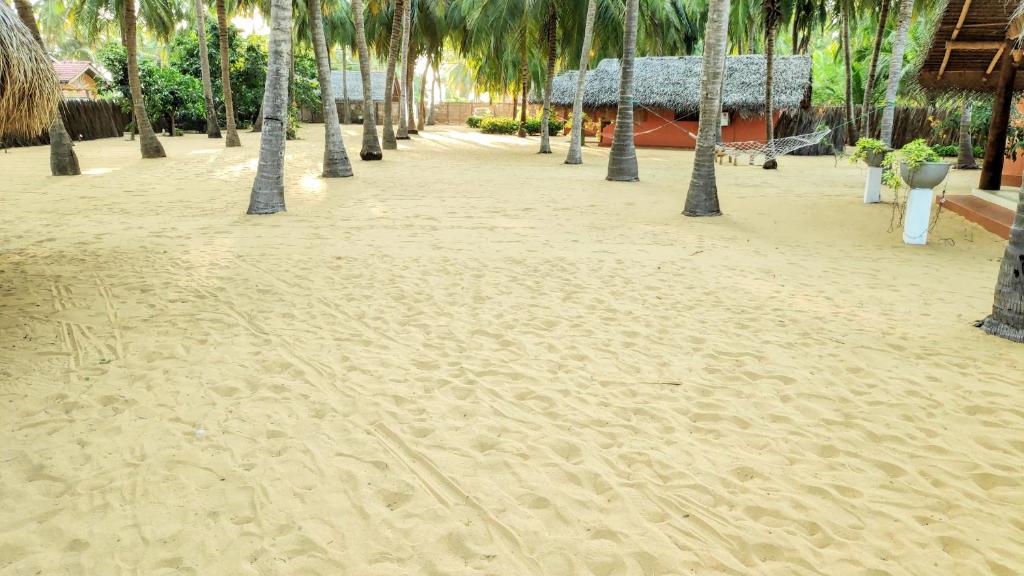 Fotografie z fotogalerie ubytování Roshanne Beach Resort v destinaci Kalpitiya
