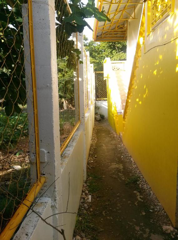 Giardino di Bambooze Hauz