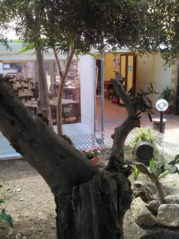 Vonkajšia záhrada v ubytovaní Andrea Case Vacanze L'Ancora