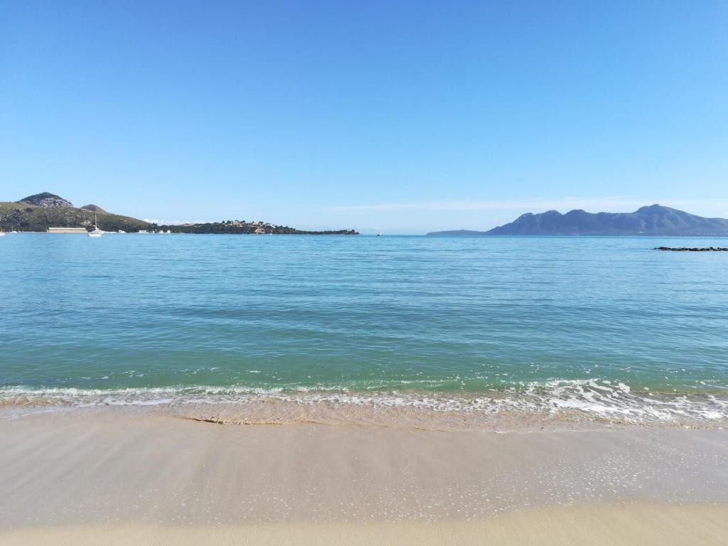 Dalia, Port de Pollença – Bijgewerkte prijzen 2023