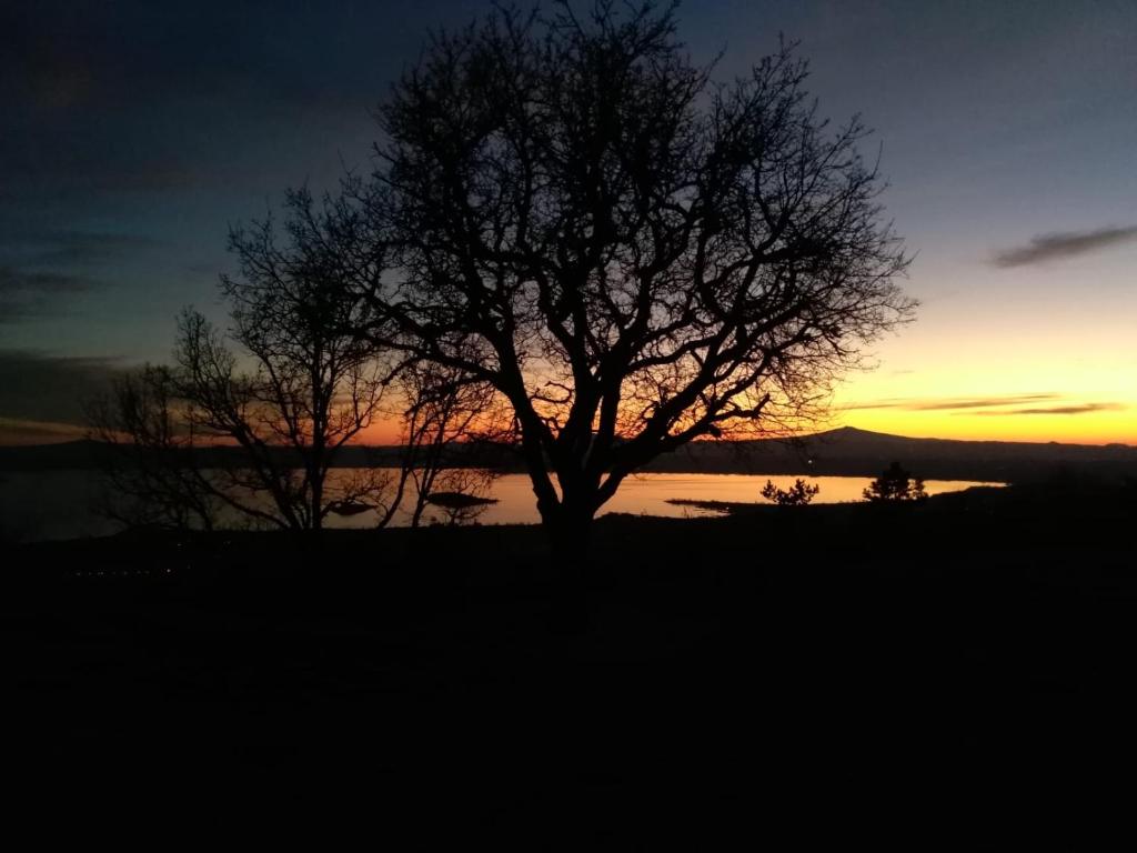 una silueta de un árbol frente a una puesta de sol en Casa vacanze La quercia del Re, en Mercatale