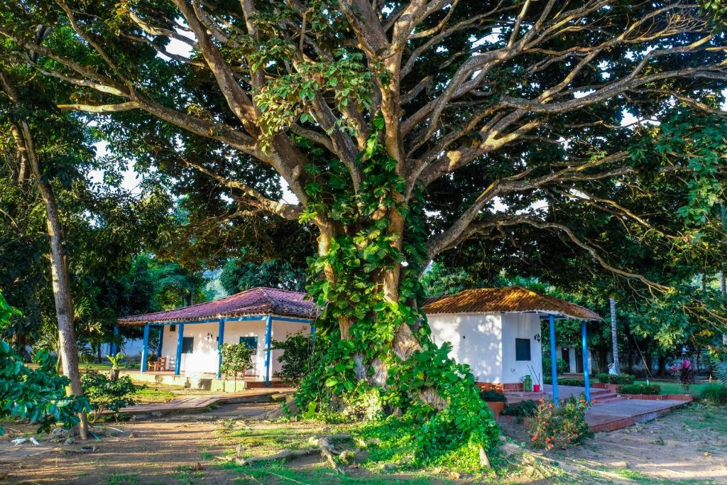 Zahrada ubytování Finca del Rio Palomino