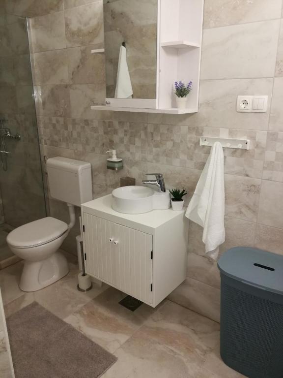Koupelna v ubytování Apartman Unka