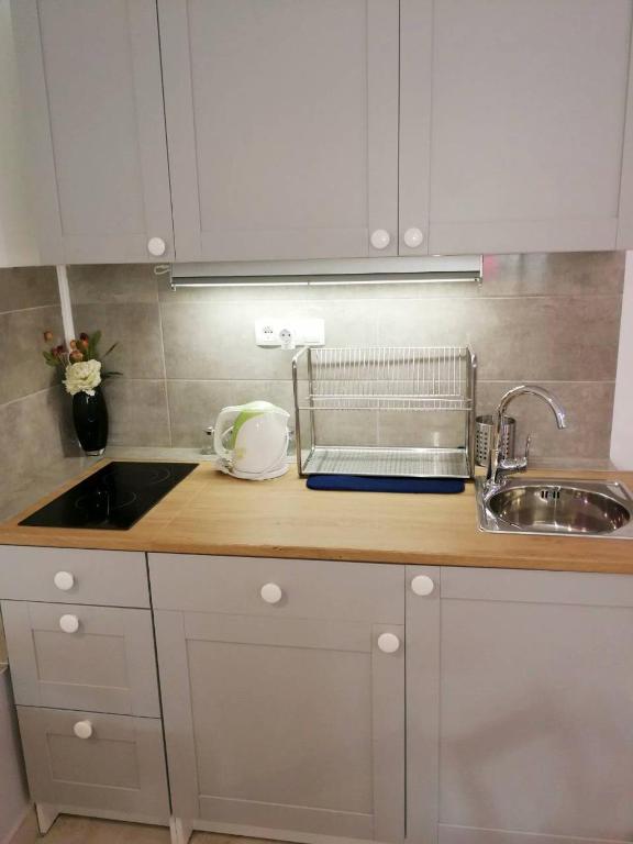 Kuchyň nebo kuchyňský kout v ubytování Apartman Unka