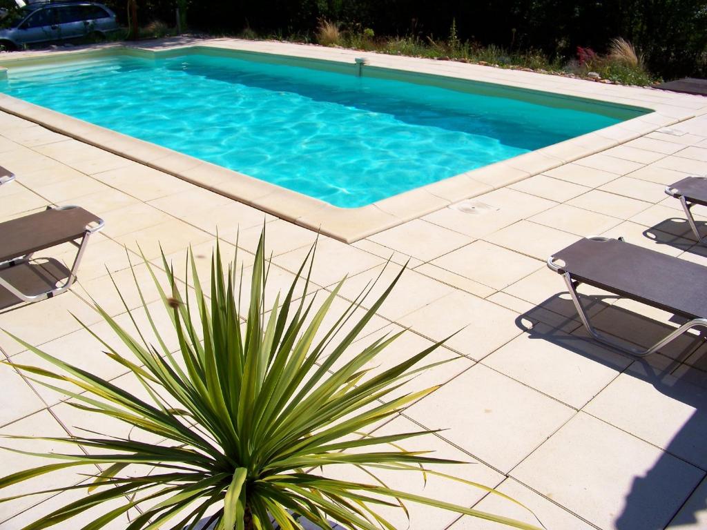 een zwembad met twee stoelen en een palmplant bij Domaine de Cadenne in Saint-Antonin