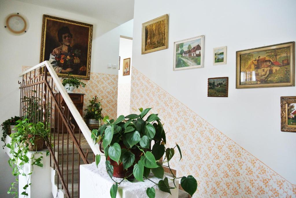 Zdjęcie z galerii obiektu Restaurace a penzion Ubrousku prostři se w mieście Nová Bystřice