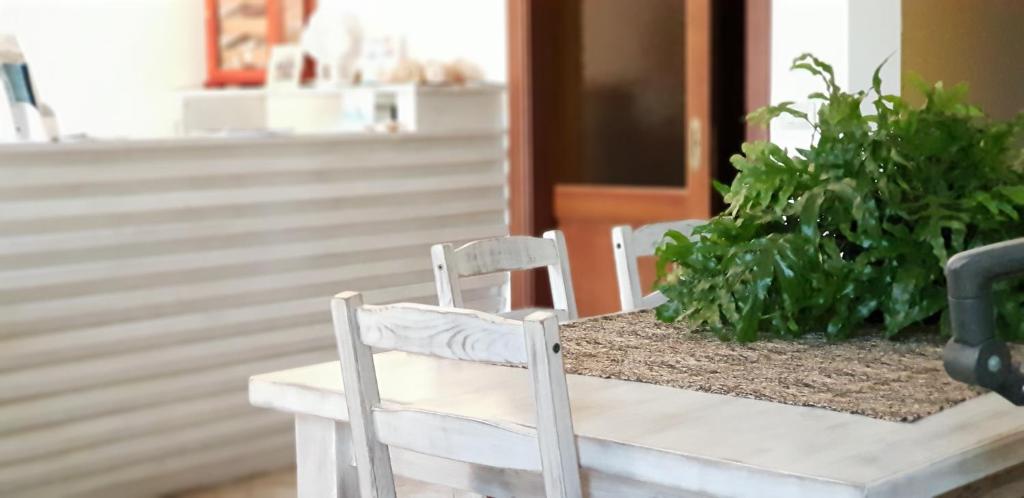 B&B Villa Sofia - foto 4