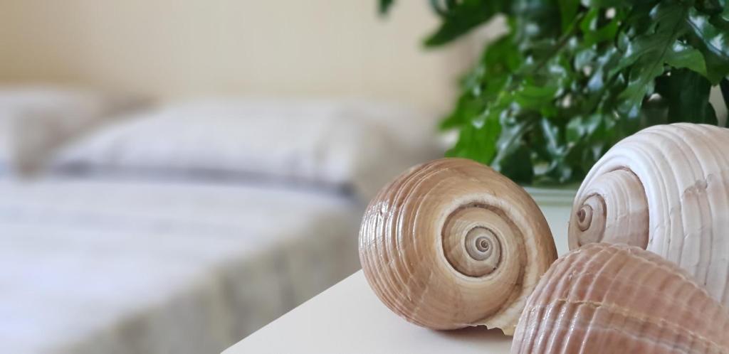 B&B Villa Sofia - foto 25