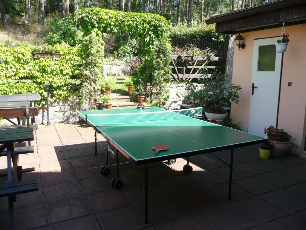 Stolní tenis v ubytování Penzion Zuzana nebo okolí