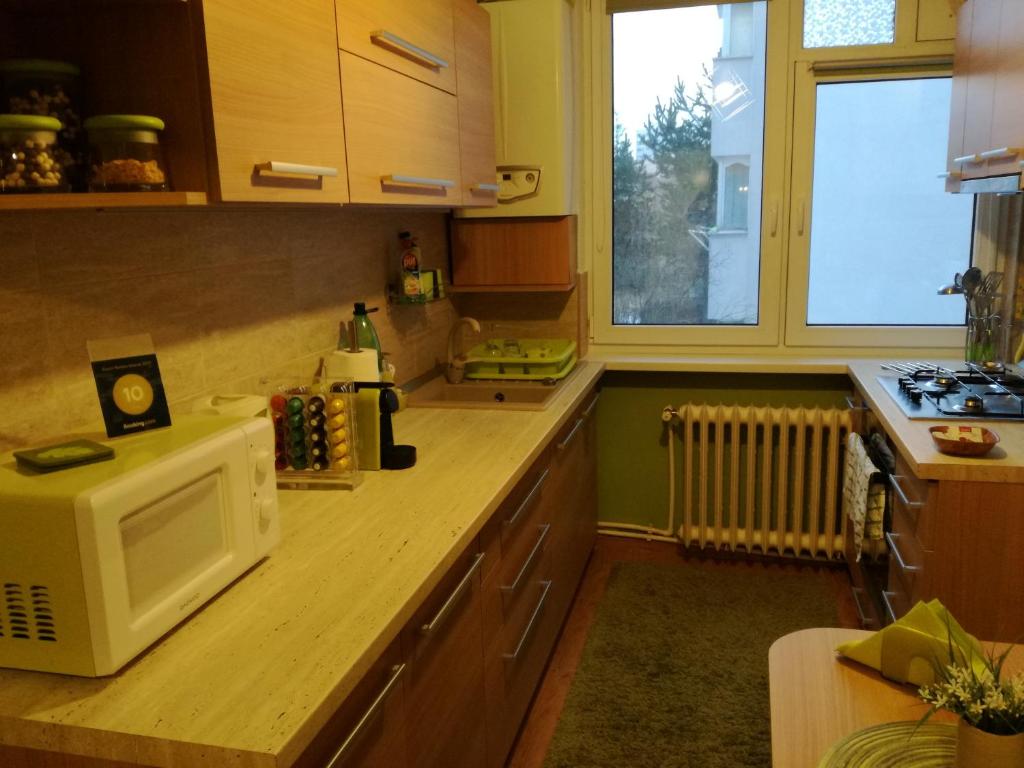 Kuchyň nebo kuchyňský kout v ubytování Green Apartment