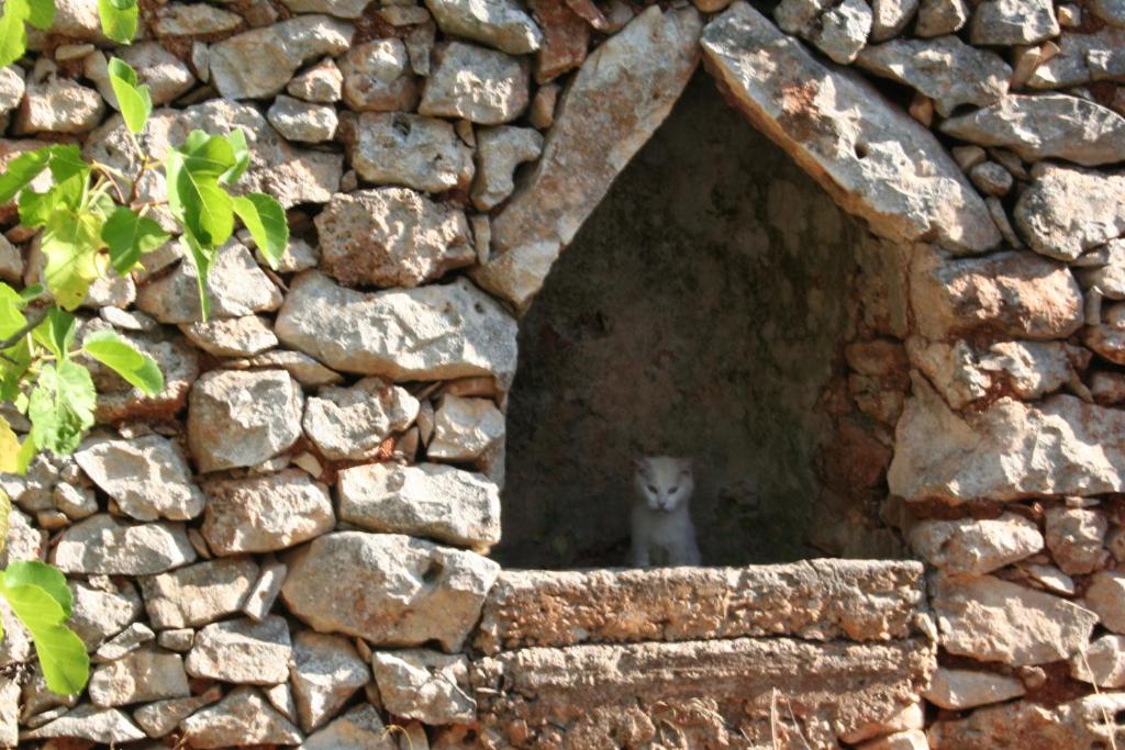 Fotografie z fotogalerie ubytování Casa Eduardo v destinaci Ostuni