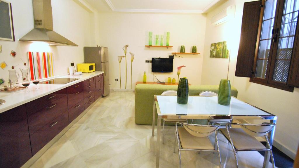 Kuchyňa alebo kuchynka v ubytovaní Living-Sevilla Apartments San Lorenzo