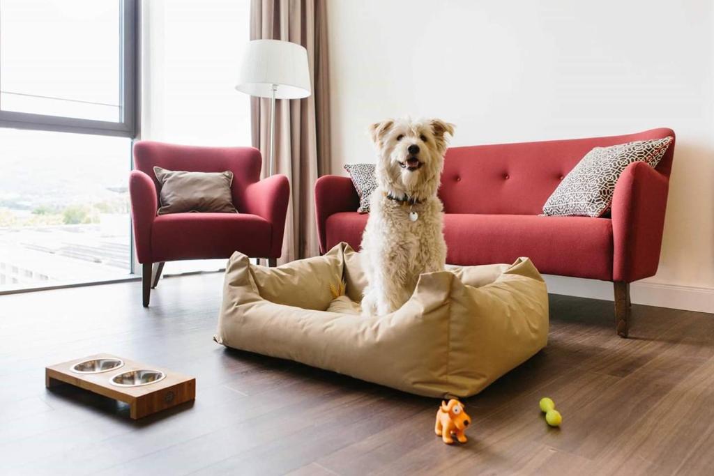 Chester Hotel Heidelberg - Resim 23