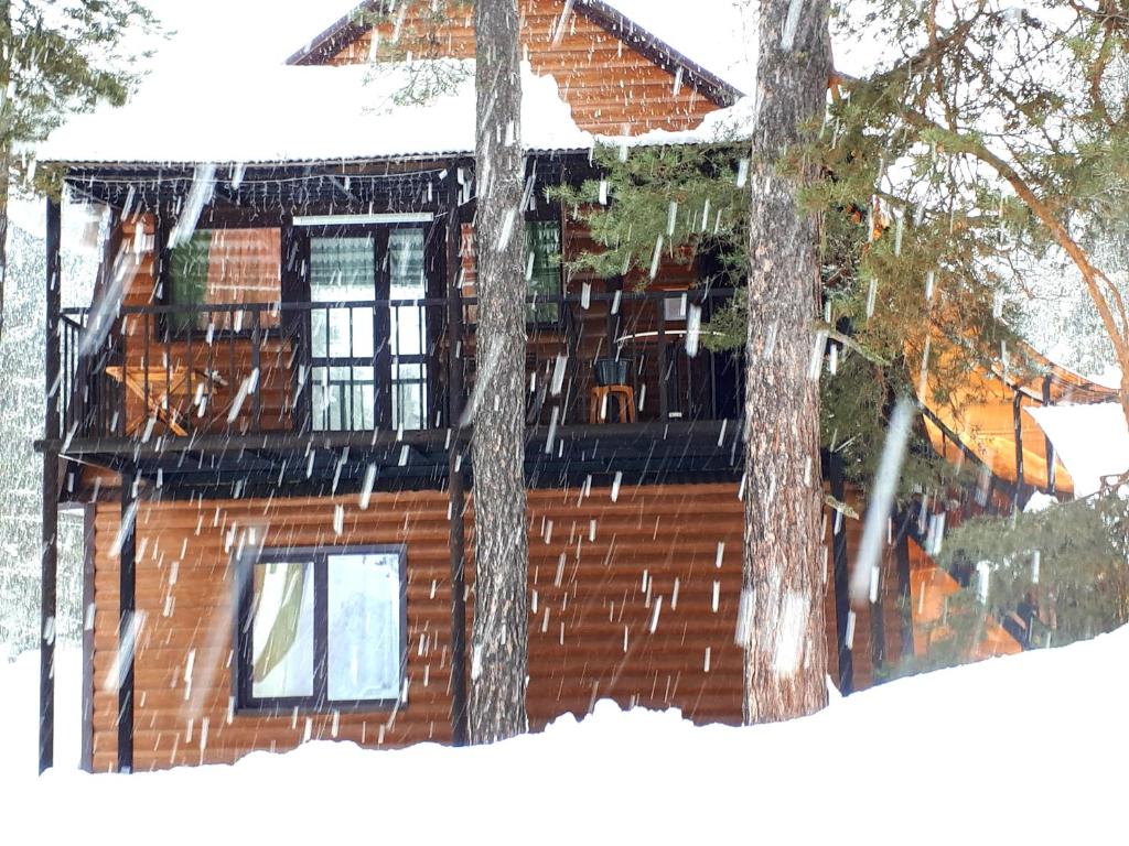 アルヒズにあるGuest House Arkhyz Cityの雪上の2本の木の丸太小屋