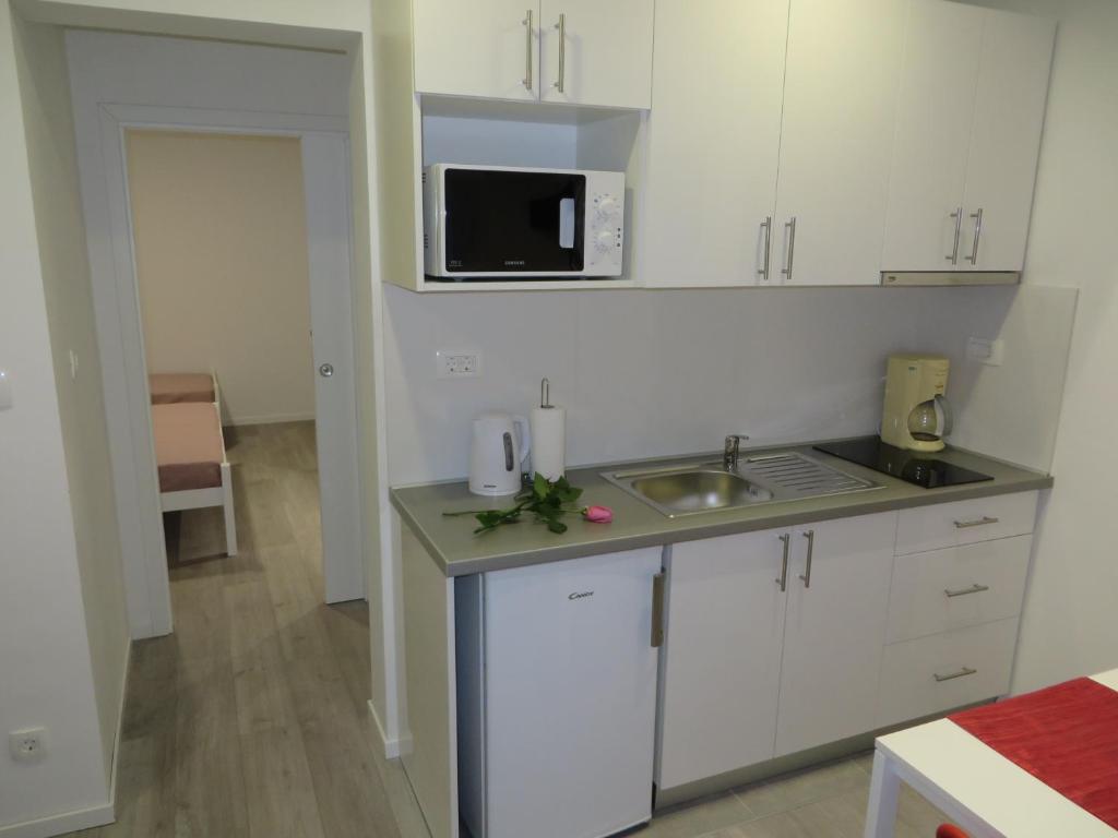 Kuchyňa alebo kuchynka v ubytovaní Apartmani Raos