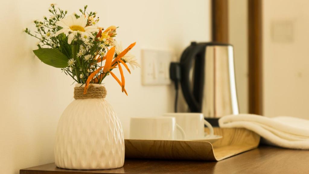 Deltora Villa - free drop off to Galle Fort by TukTuk - 4