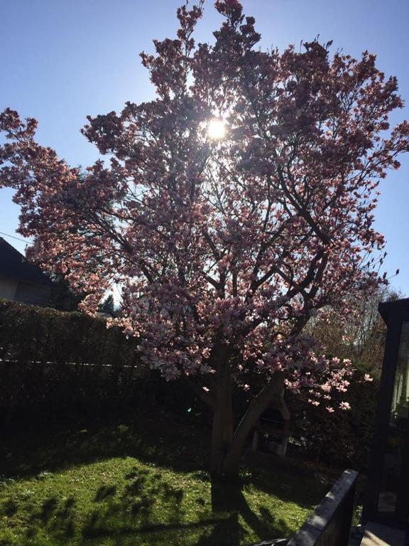 RELAX APPARTEMENT - Graz - Appartement Met Drie Slaapkamers